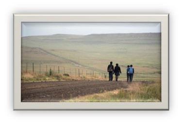 Member Background image