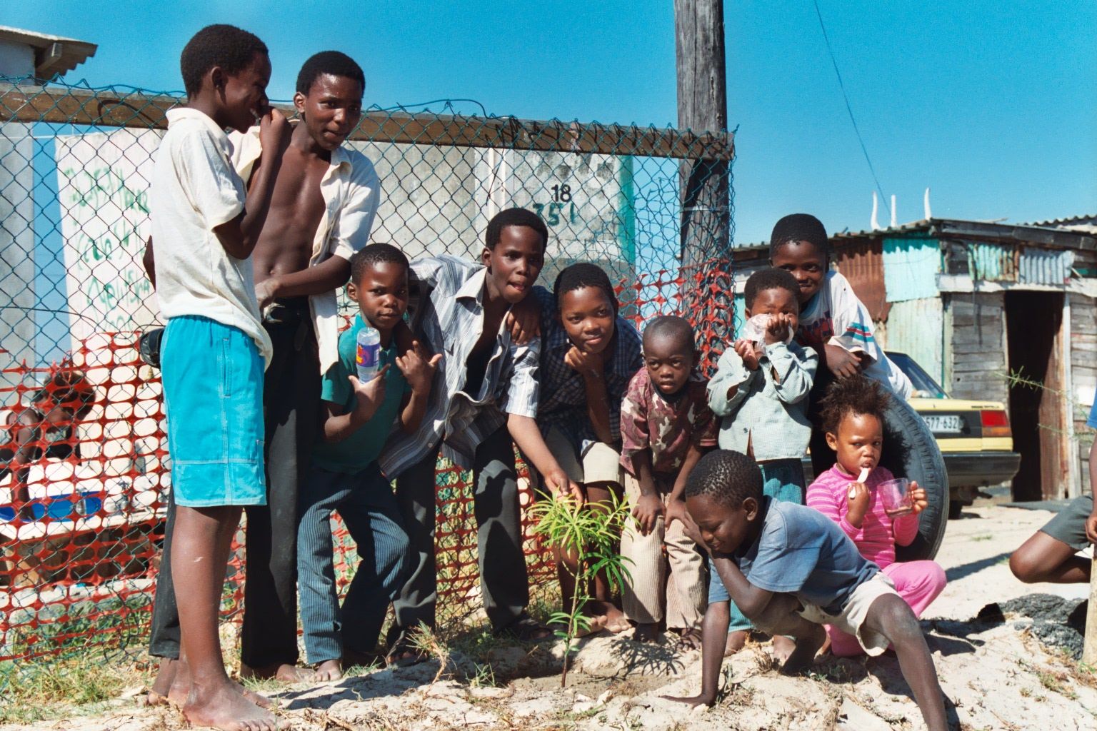Slide image