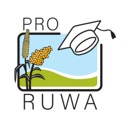 Author profile image