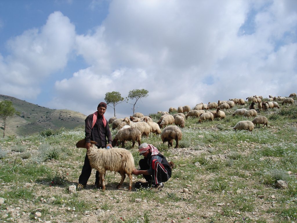 The SAGE-Centre in the Palestinian Territories works on climate and land use adaptation in the Jordan River Basin.
