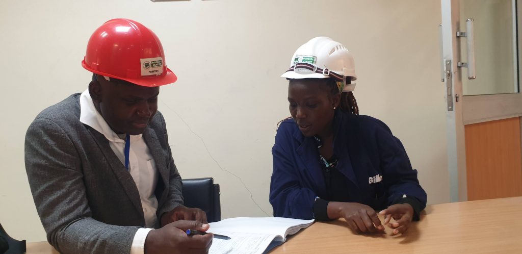 Findings on addressing youth unemployment through higher education curricula