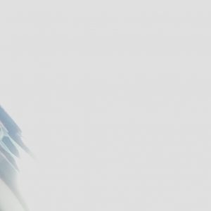 Image du profil du membre